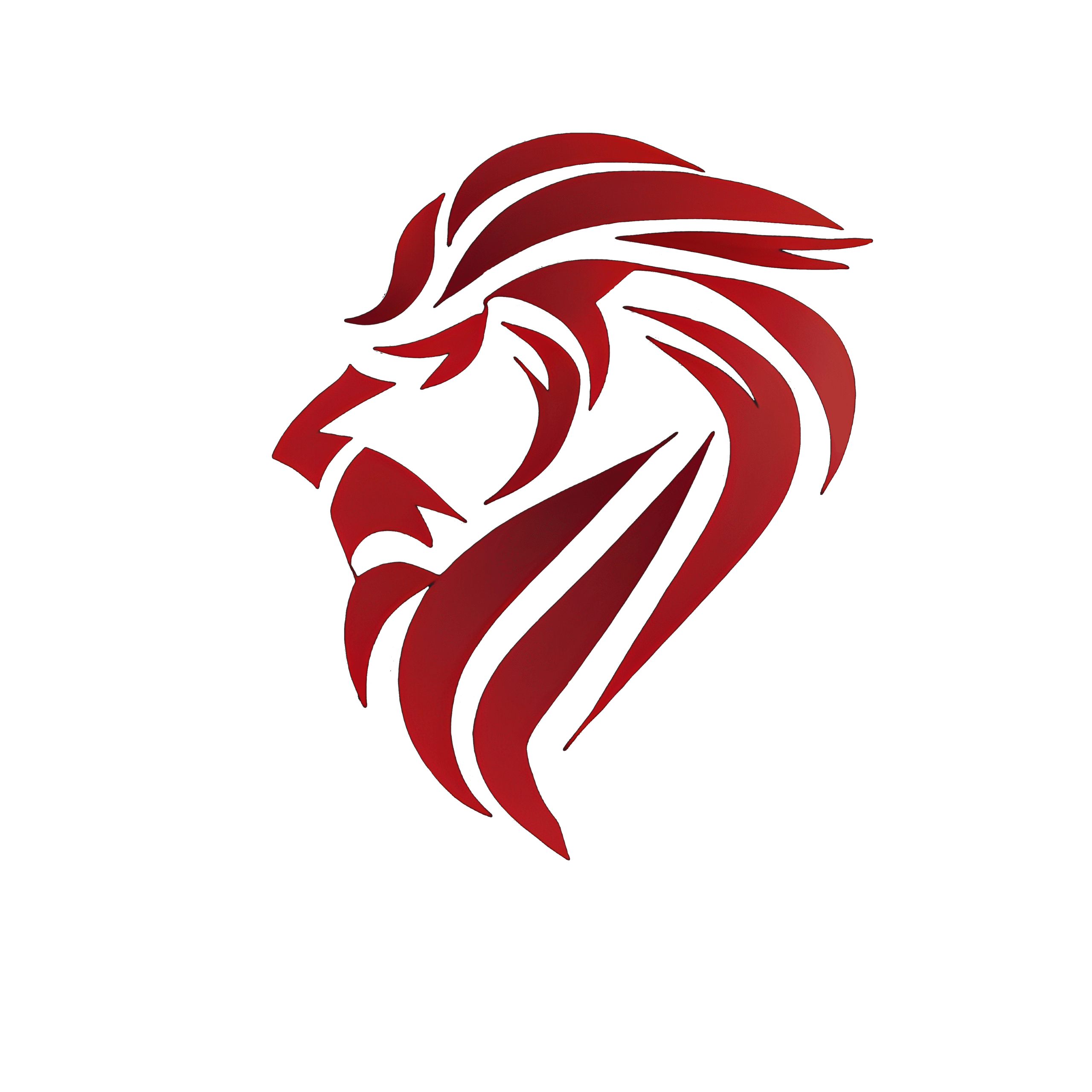 Crimson Leo Designs: Unique Apparel